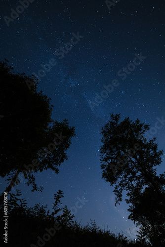 starry night sky