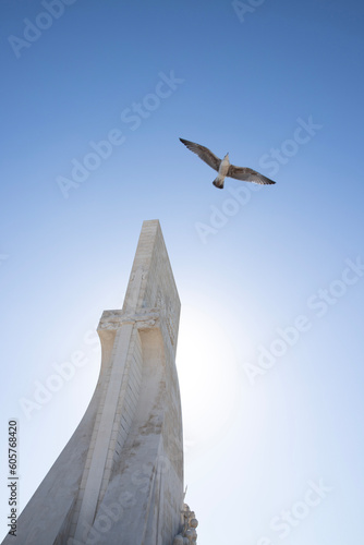 eagle in flight