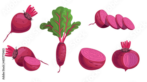 Ripe beets set in cartoon style. Whole, halves, slices and leaves. Vector illustration in flat style isolated on white background.