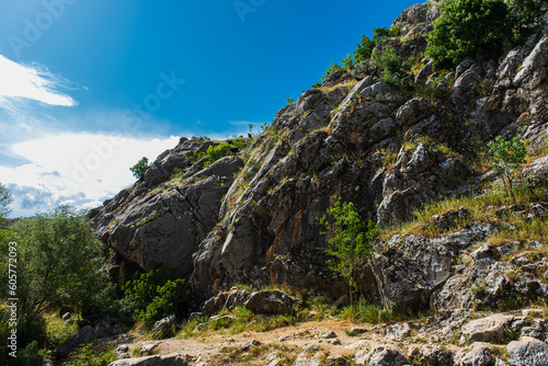 stony land in spring