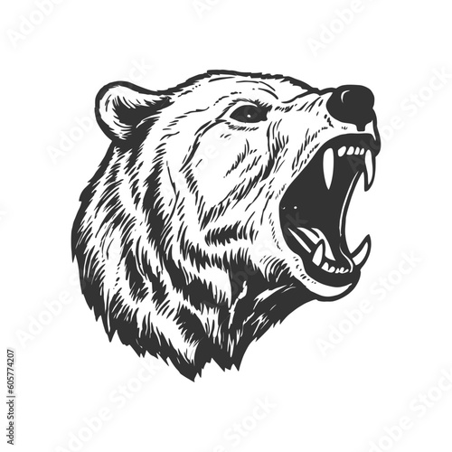 Bear head logo. Grizzly icon. Vector illustration.
