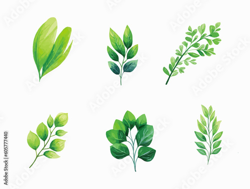 elements Leaves and branches in vectors  A graphic representation of nature