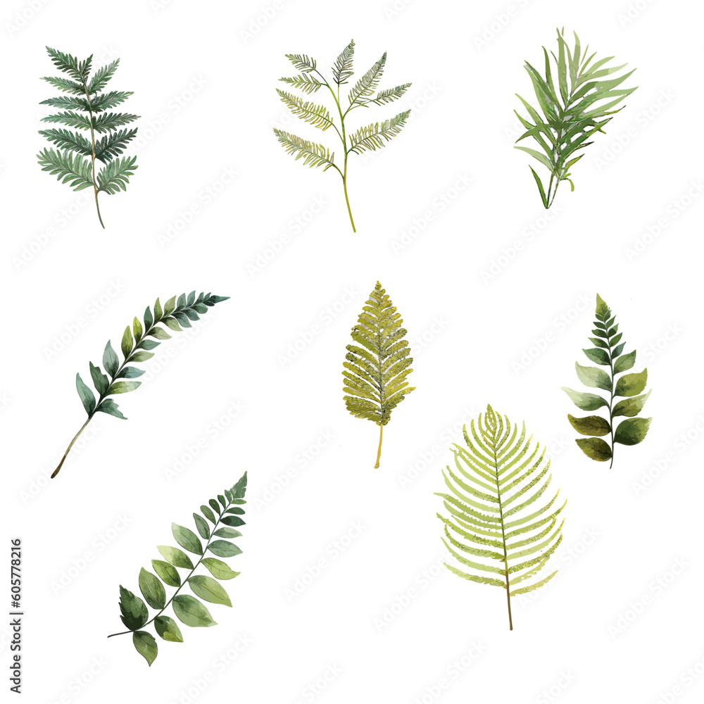 Set of green leaves in watercolor. Botanical white background Set of green leaves in watercolor. Botanical white background