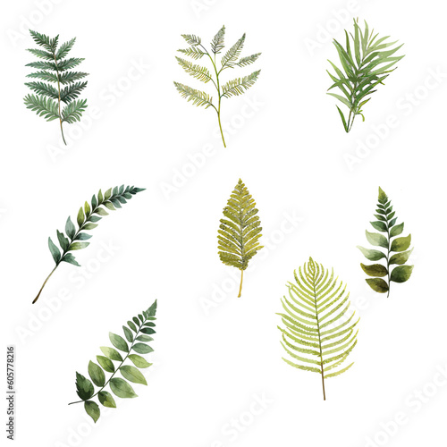 Set of green leaves in watercolor. Botanical white background