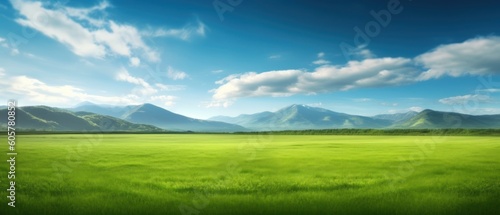 Panoramic natural landscape with green grass field  blue sky with clouds and and mountains in background. Panorama summer spring meadow. Shallow depth of field