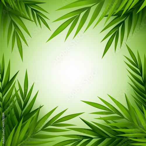 Tropical palm tree background.