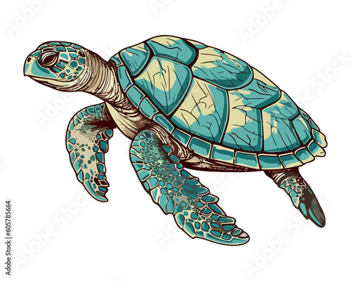 Cute sea turtle on white backdrop