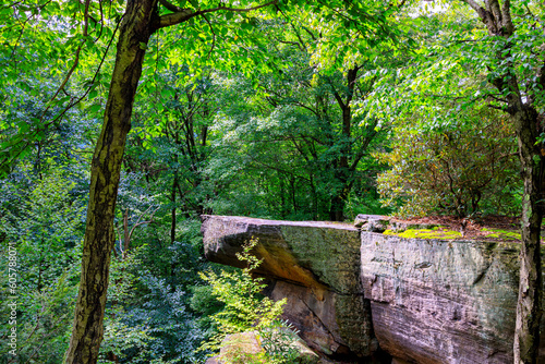 On the Rattlesnake trail at Coopers Rock State Forest.