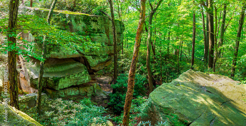 A beautiful forest view of large rock formations and trees.