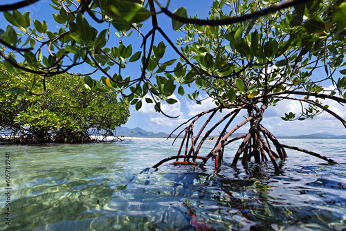 Philippines, Palawan. Honda Bay