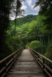 beautiful wood bridge in gorgeous rainforest landscape