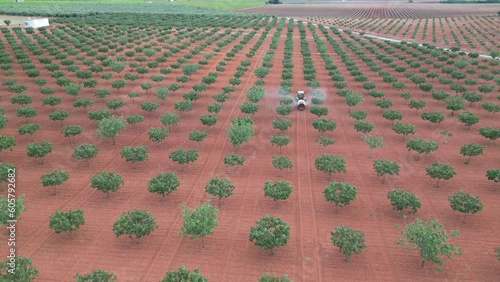 organic pistachio treatment seen from above 
