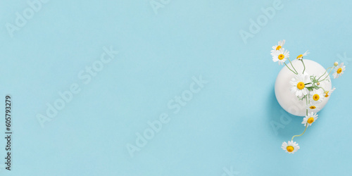 Flat lay top view of round flat vase with chamomile flowers isolated on pastel blue background. White flowers in vase on blue table