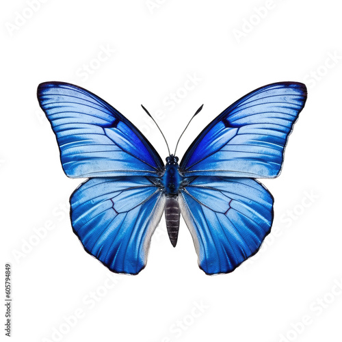 Small blue butterfly -  Cupido minimus 1. Transparent PNG. Generative AI © Razvan