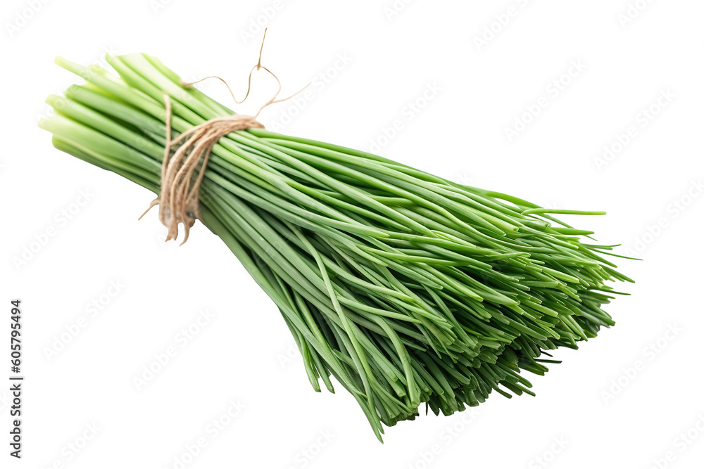 A bunch of ready to cook chives on a transparent/white background. Generative AI - obrazy, fototapety, plakaty 