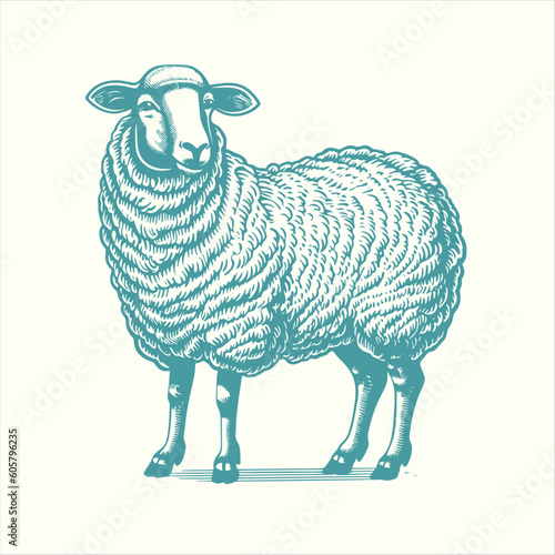 Wallpaper Mural Hand drawn sheep. Vintage woodcut engraving style vector illustration.	
 Torontodigital.ca