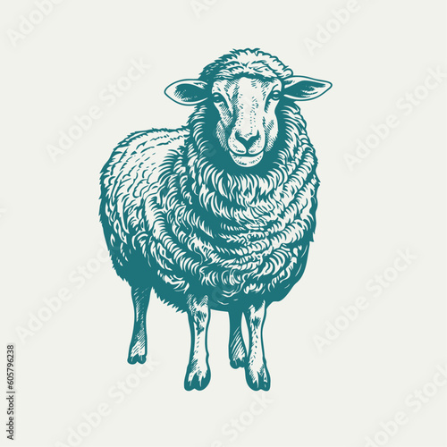 Hand drawn sheep. Vintage woodcut engraving style vector illustration.	
