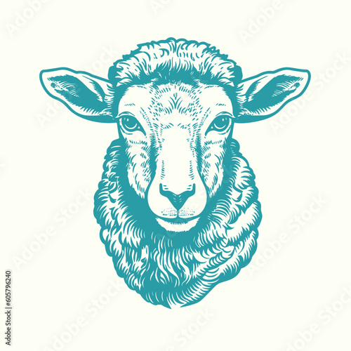 Hand drawn sheep head. Vintage woodcut engraving style vector illustration.	
