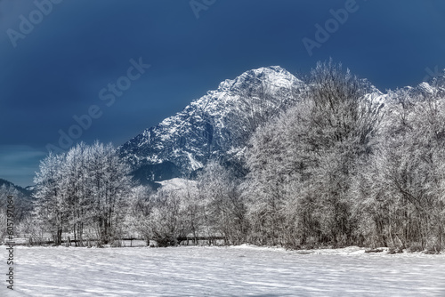 alpine landscape in Winter with trees and mountains in the region of Saalfelden in the county of Zell am See in Salzburger Land. Famous tourism destination.
