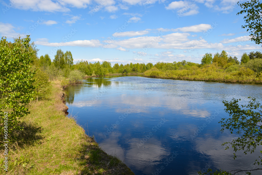 On the forest river in the Meshchersky National Park.