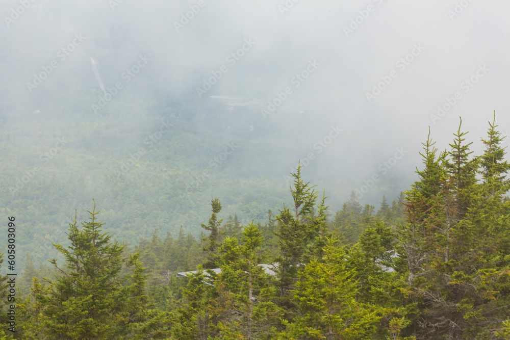 Fototapeta premium Fog lifting out of the valley at Mt. Kearsarge.