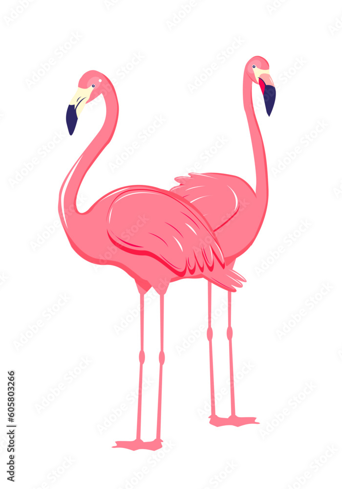 Fototapeta premium Two pink flamingo. Cute and beautiful flat pink flamingo on white background, summer design for print, kids drawing, design for t-shirt, poster, banner, design for fabric and textile