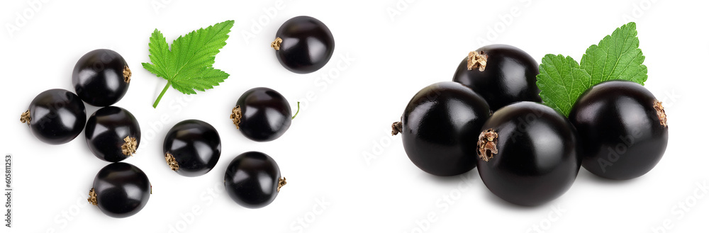 black currant with leaves isolated on white background . Top view. Flat lay pattern black currant with leaves isolated on white background . Top view. Flat lay pattern