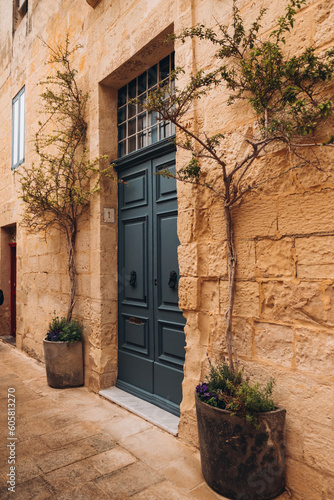 Fototapeta Naklejka Na Ścianę i Meble -  Door in the wall on Malta