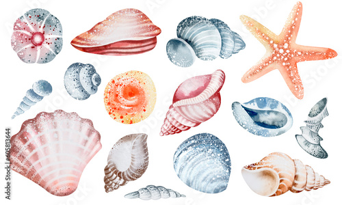 Set of Seashells on isolated white background, watercolor illustration, sea clipart