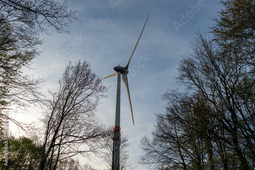 Windrad über dem Wald