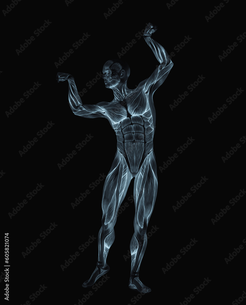 average man muscle maps is doing a bodybuilder pose average man muscle maps is doing a bodybuilder pose