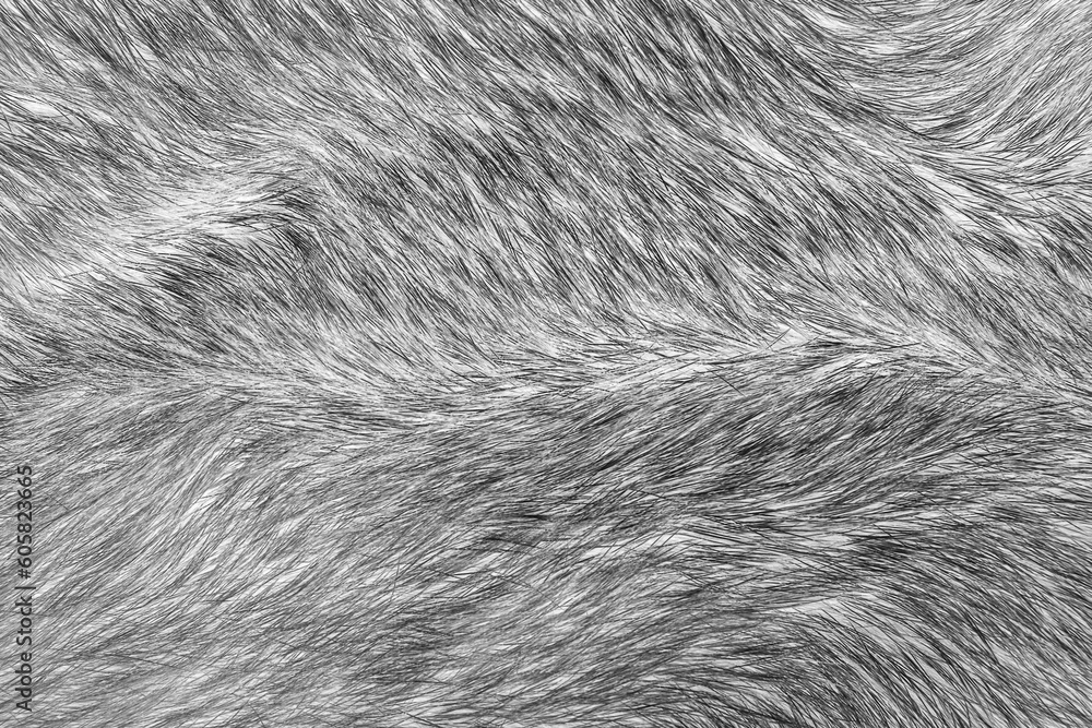 Texture. Animal fur. The coat is long and short. Colored and monochrome wool. Fox wool. Hedgehog fur. Texture. Animal fur. The coat is long and short. Colored and monochrome wool. Fox wool. Hedgehog fur.