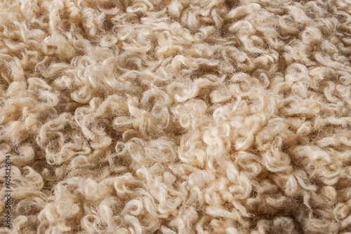 Texture. Animal fur. The coat is long and short. Colored and monochrome wool. Fox wool. Hedgehog fur.