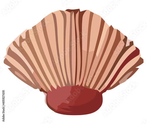Summer vacation souvenir colorful conch shell