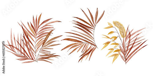 watercolor dry leaves wheat plants in bouquets