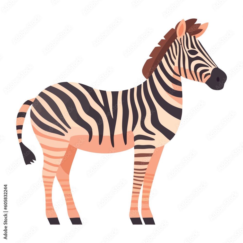 Obraz premium Striped zebra standing on savannah, a beautiful animal in nature