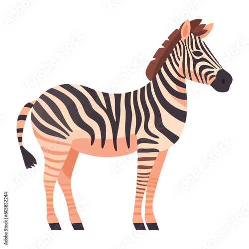 Striped zebra standing on savannah, a beautiful animal in nature