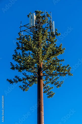 Fake tree cell tower