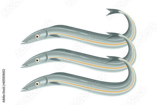 Vector of three sand eels