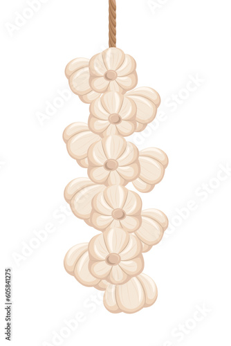 Vector of Korean hanging garlic