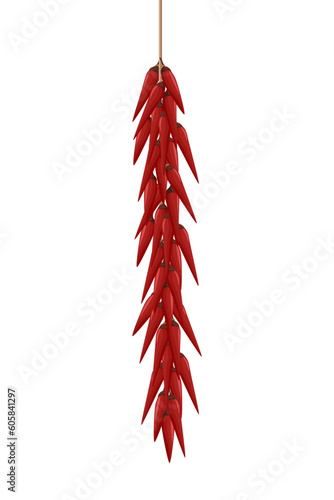 Vector of hanging red chilli pepper
