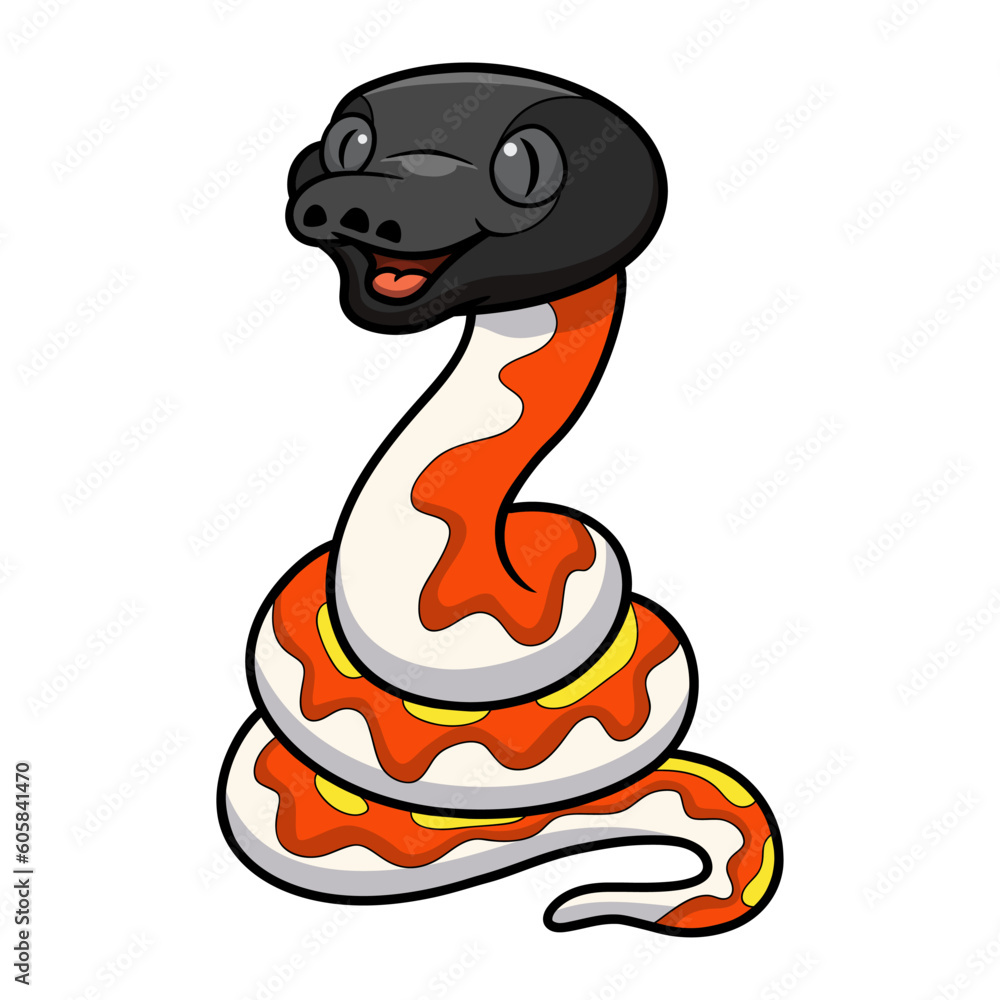 Cute red blood python cartoon Cute red blood python cartoon