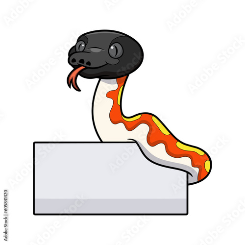 Cute red blood python cartoon with blank sign