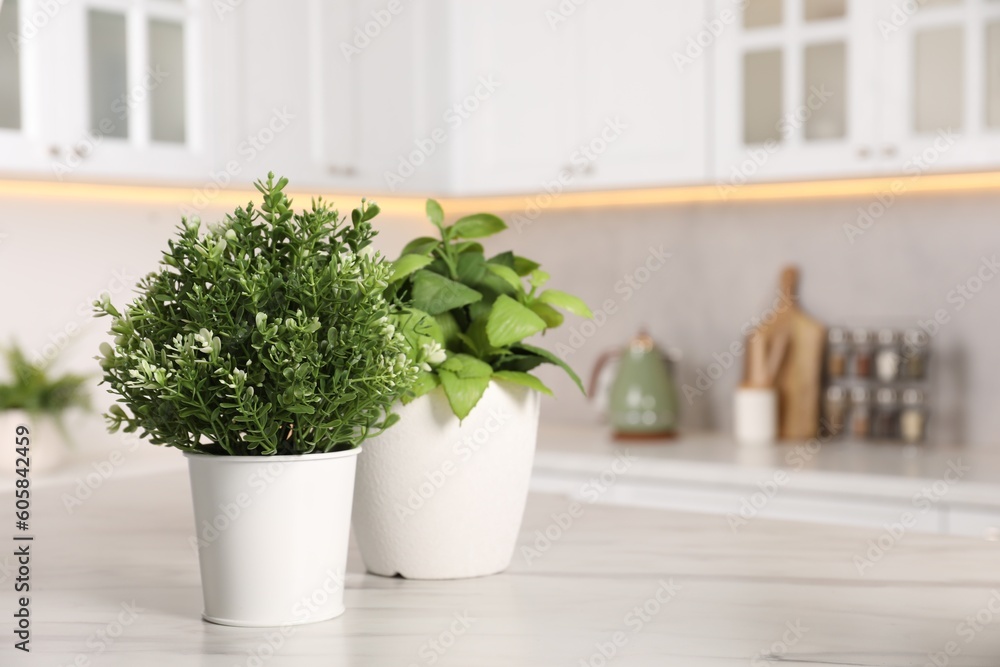 Artificial potted herbs on white marble table in kitchen, space for text. Home decor Artificial potted herbs on white marble table in kitchen, space for text. Home decor
