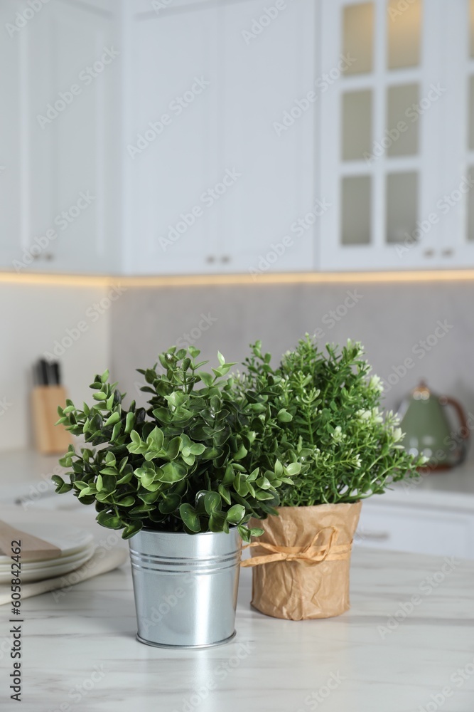 Aromatic potted herbs on white marble table in kitchen, space for text