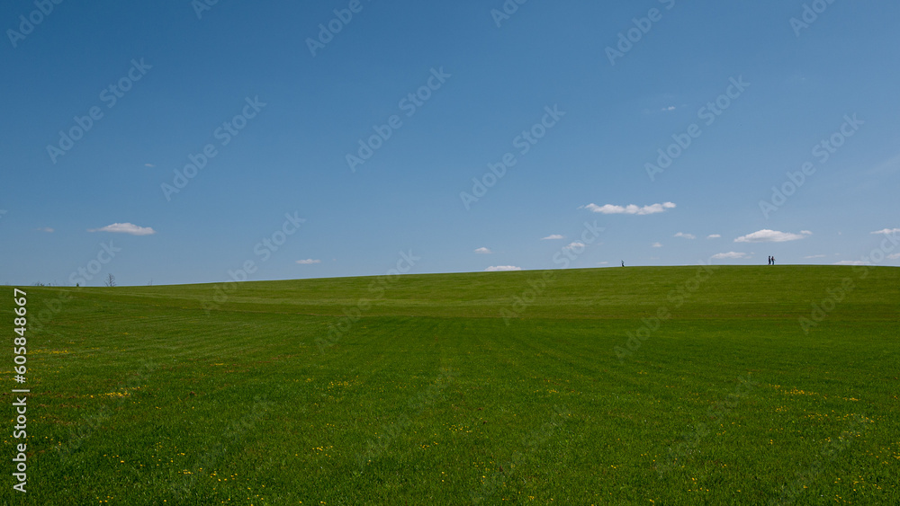 wind turbine in the field wind turbine in the field