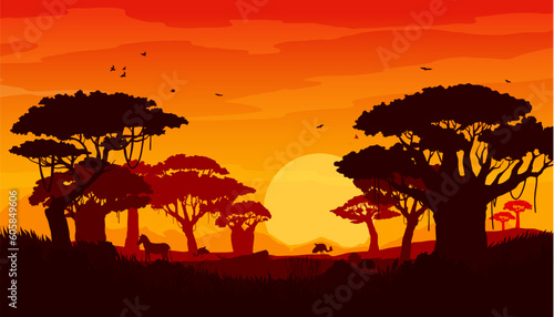 African savannah sunset landscape, scenery silhouettes of trees, sun, safari animals and birds. Vector background with wild nature of Africa, evening scene with orange sky, setting sun and acacias