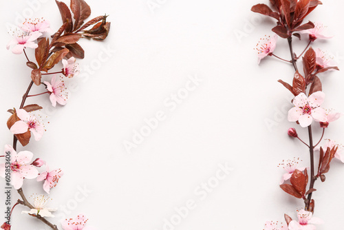 Blooming tree branches with pink flowers on white background