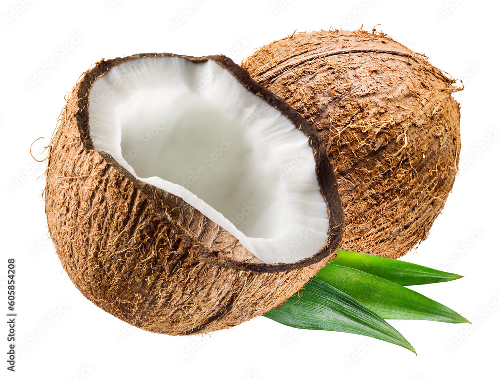 Coconut with leaf png Stock Photo Adobe Stock