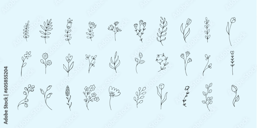 Big bundle of simple floral hand drawn illustration elements